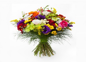 images